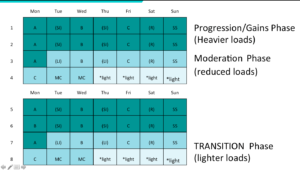 Menstrual Cycle Phase training