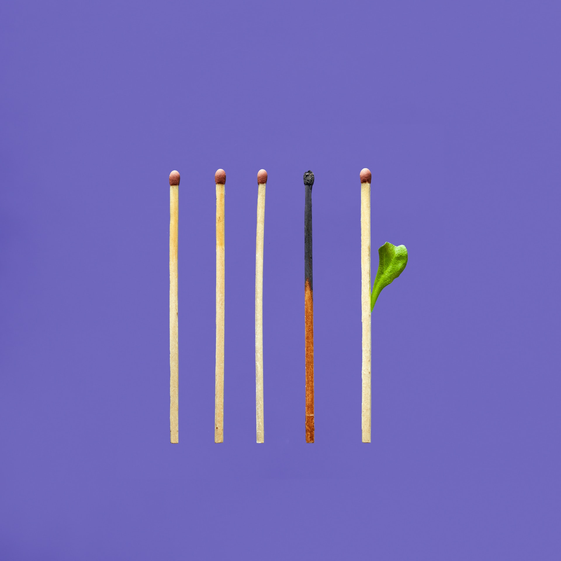 4 match sticks with one burnt out and one with a green leaf